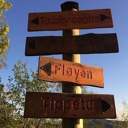 Floyen On Top Of